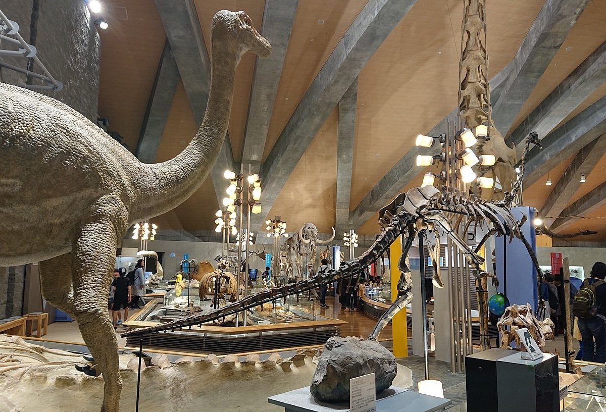 🏛️ 군마 현립 자연사박물관 (군마켄리츠시젠시하쿠부츠칸) 이미지 9